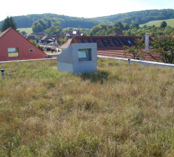 Vyšší dotace pro zelené střechy