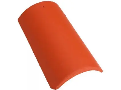 Mediterran Synus hřebenáč červený