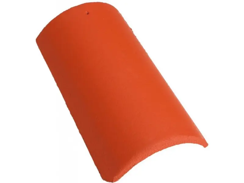 Mediterran Synus hřebenáč červený